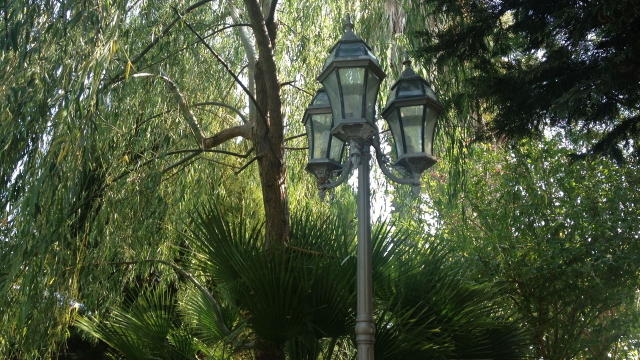 Photo of Outdoor in Raches