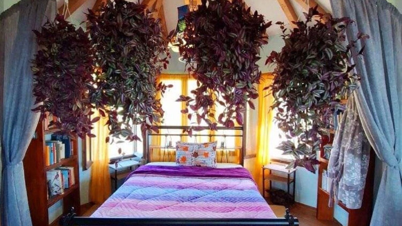 Photo of Bedroom in South Pelion