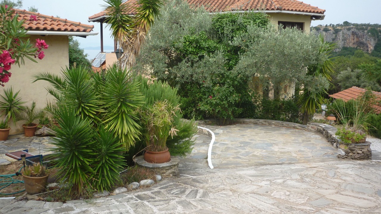 Photo of Outdoor in South Pelion