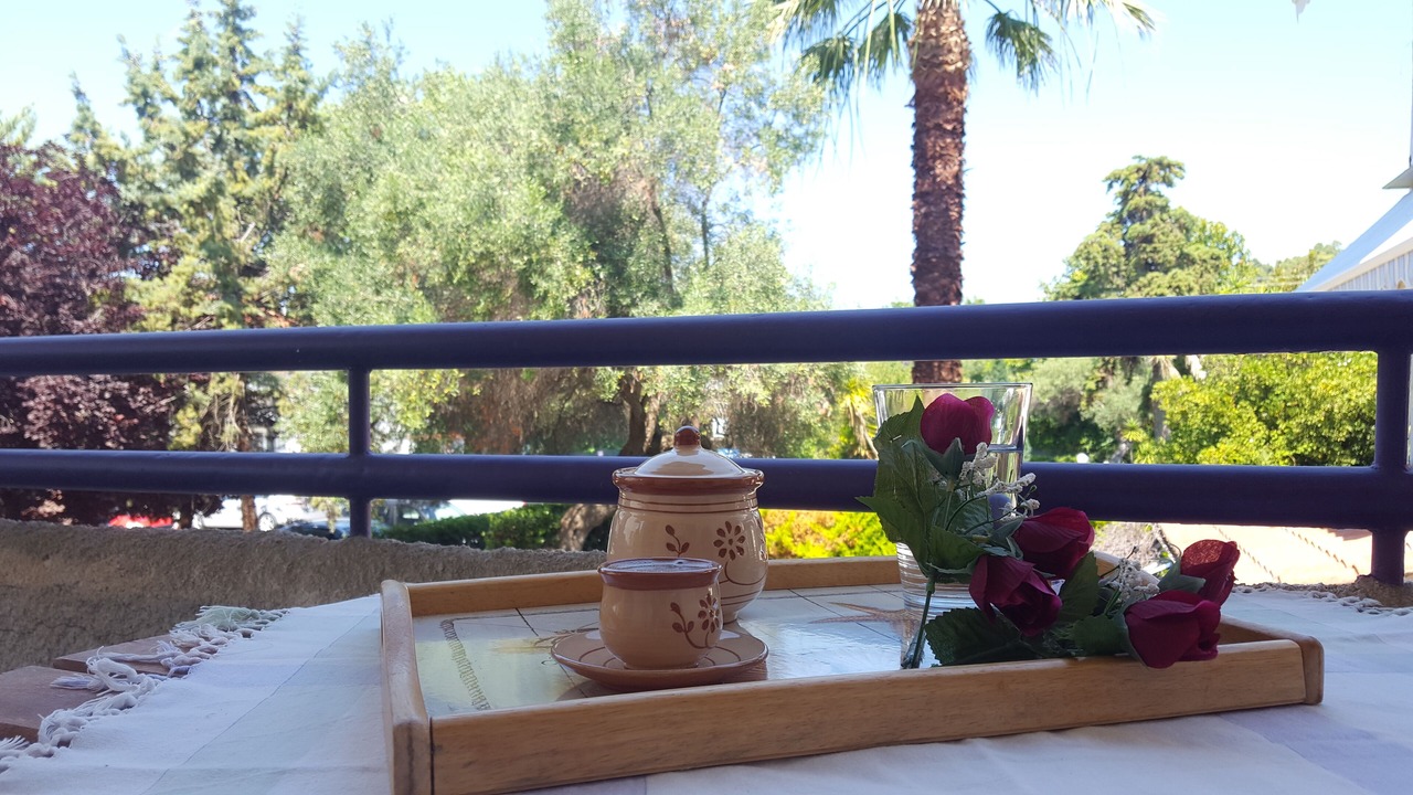 Photo of Outdoor in Kassandra