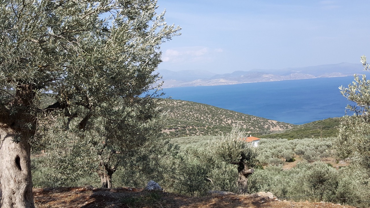 Photo of Others in Kefalari