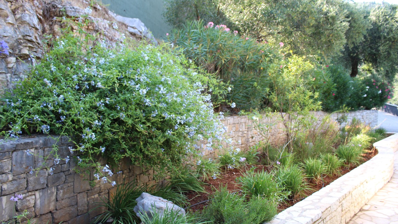 Photo of Outdoor in Agni