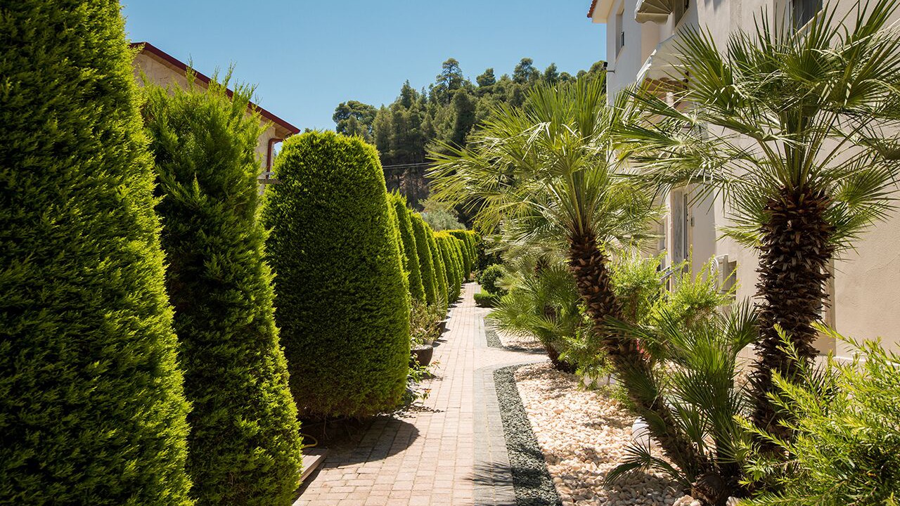 Photo of Outdoor in Polichrono