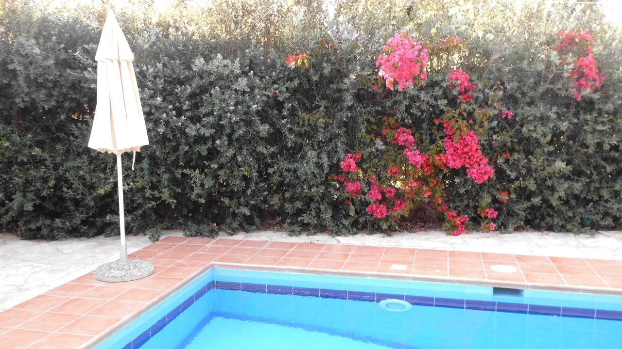 Photo of Outdoor in Prines