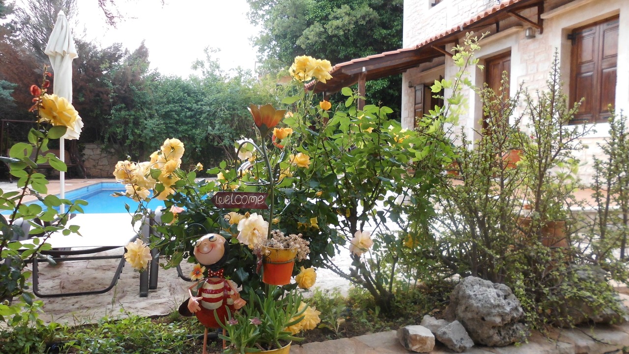 Photo of Outdoor in Prines