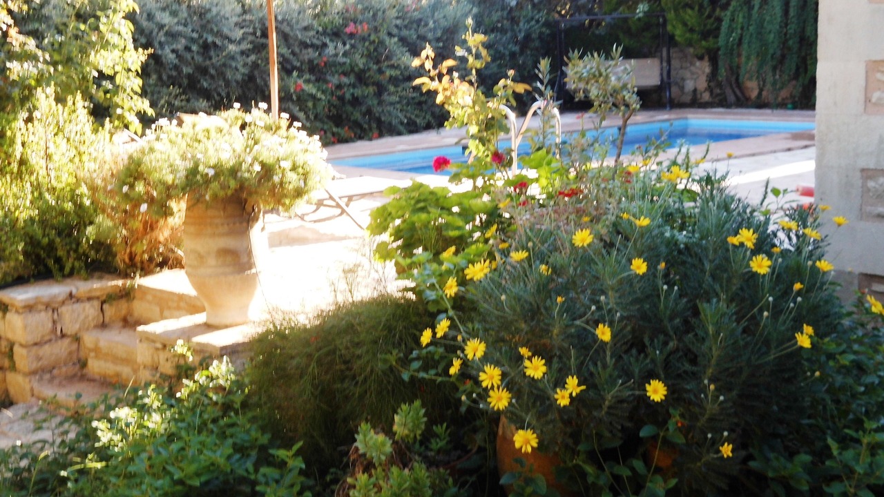 Photo of Outdoor in Prines