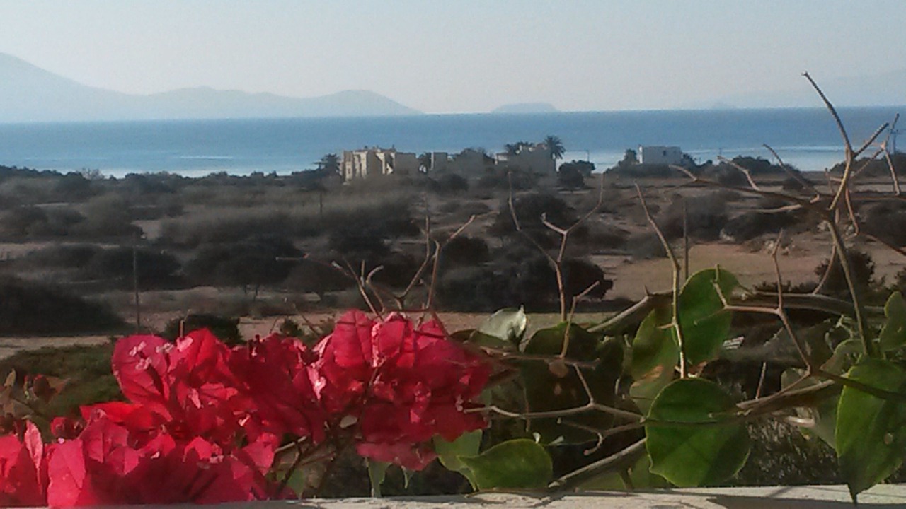 Photo of Others in Naxos