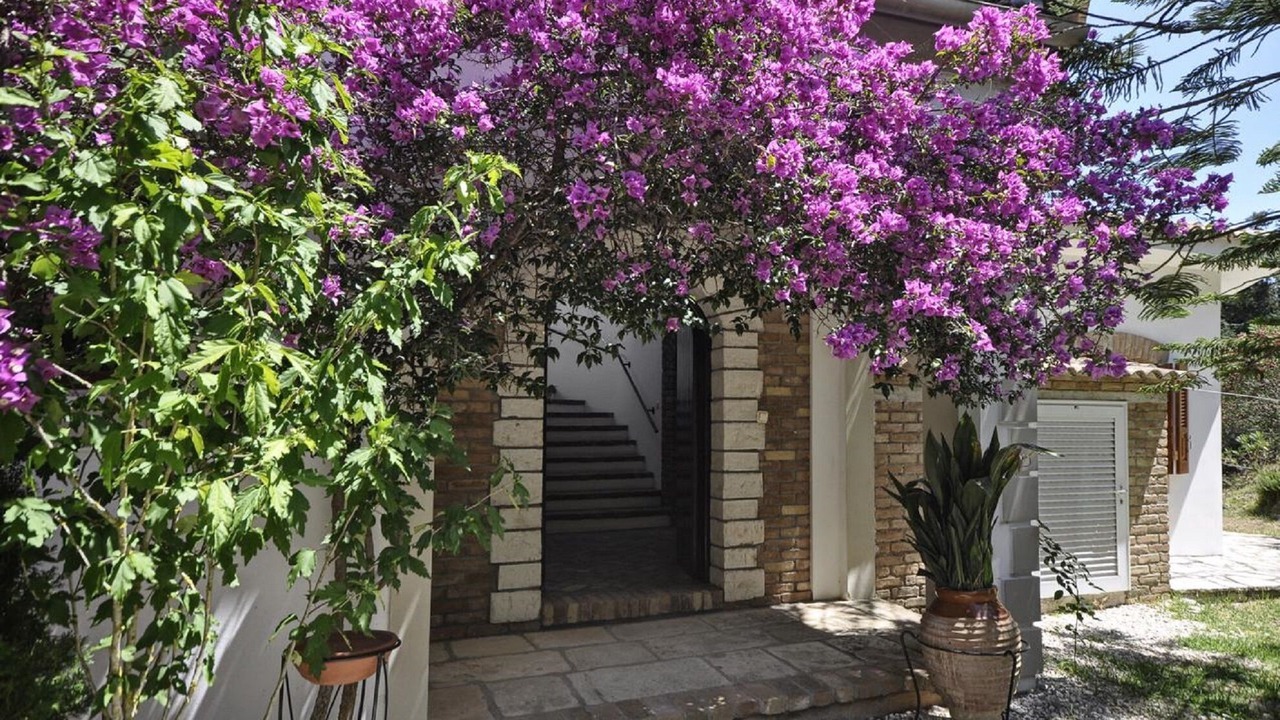 Photo of Outdoor in Achilleio