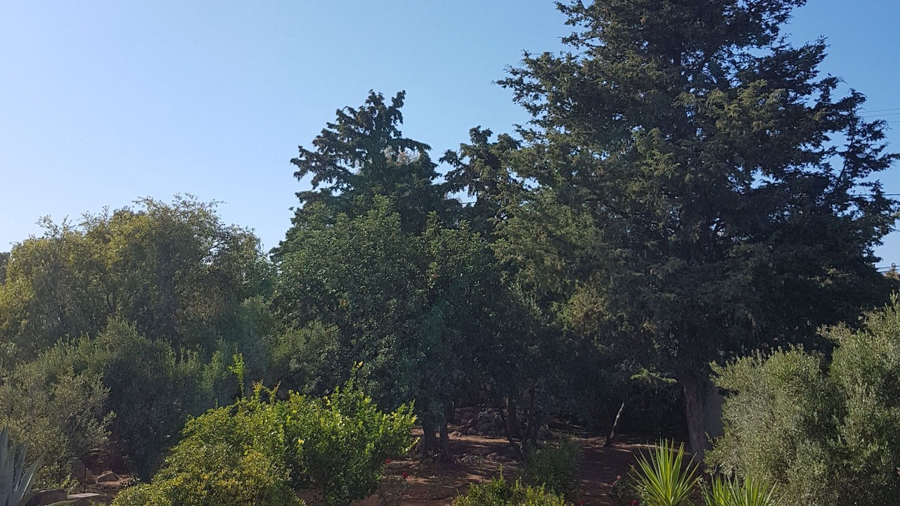 Photo of Outdoor in Chania