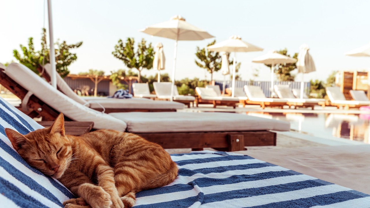 Photo of Outdoor in Marmari