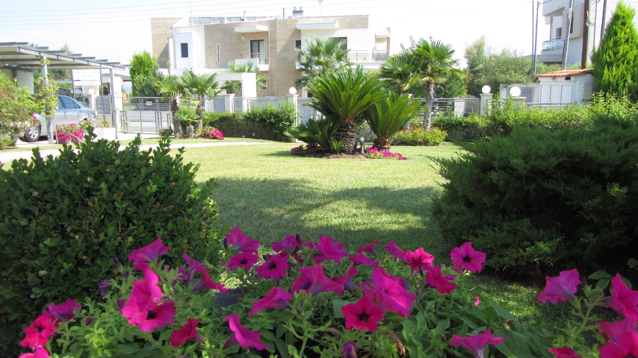 Photo of Outdoor in Polichrono