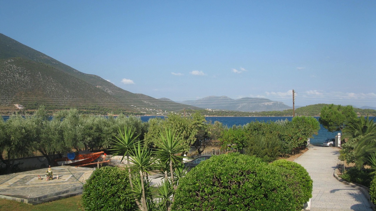 Photo of Others in Chalcis