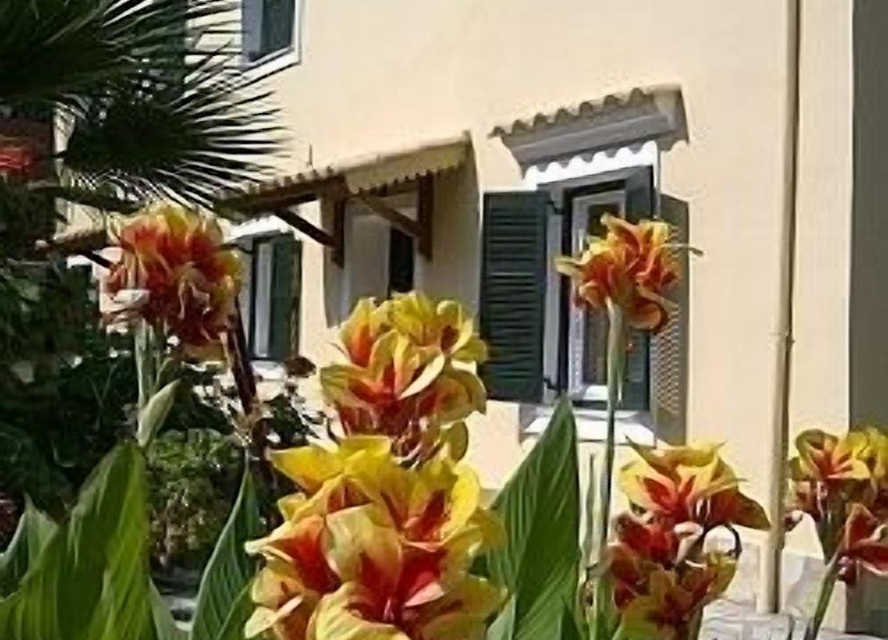 Photo of Others in Achilleio