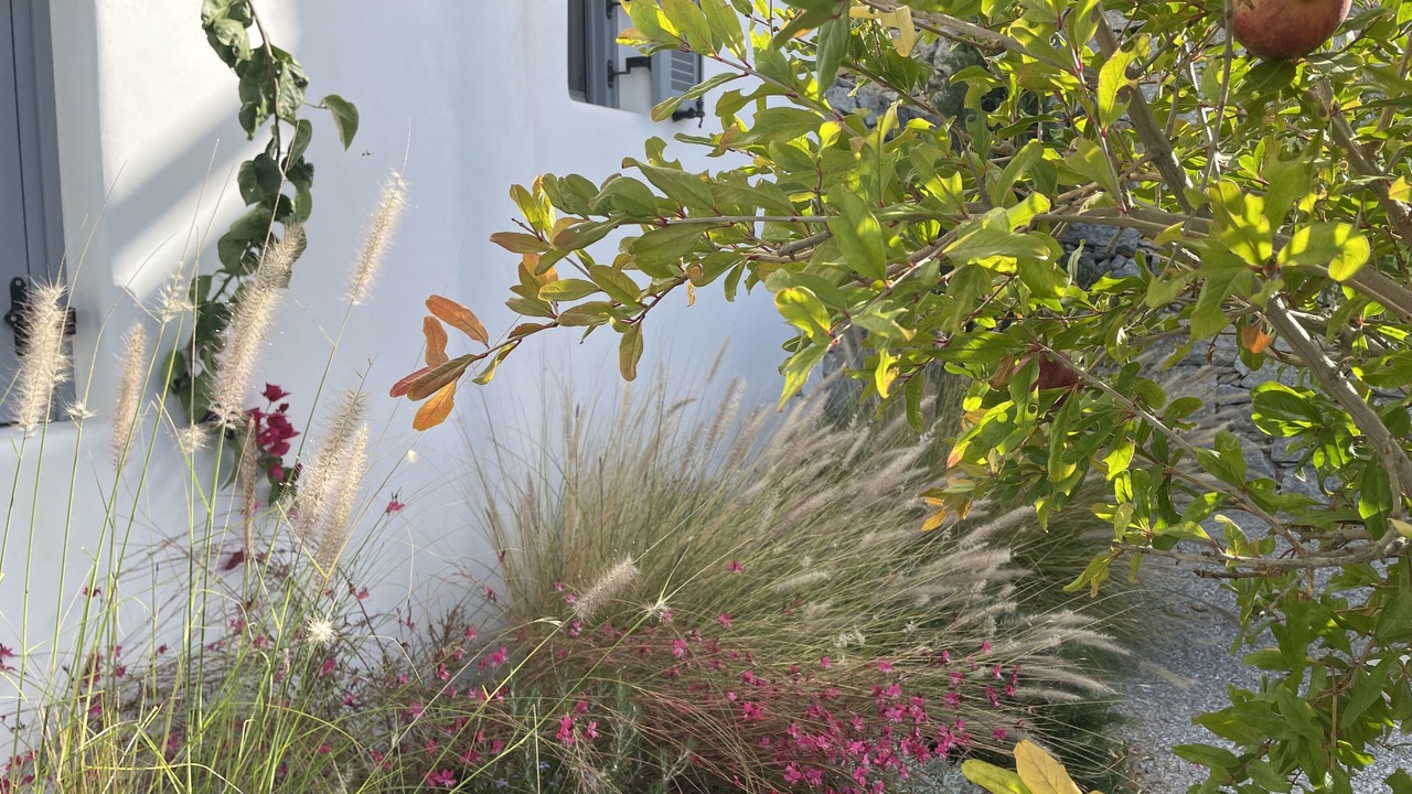 Photo of Outdoor in Naxos