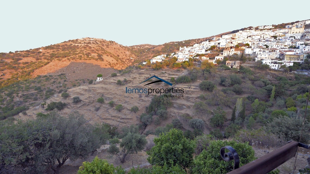 Photo of Others in Kea
