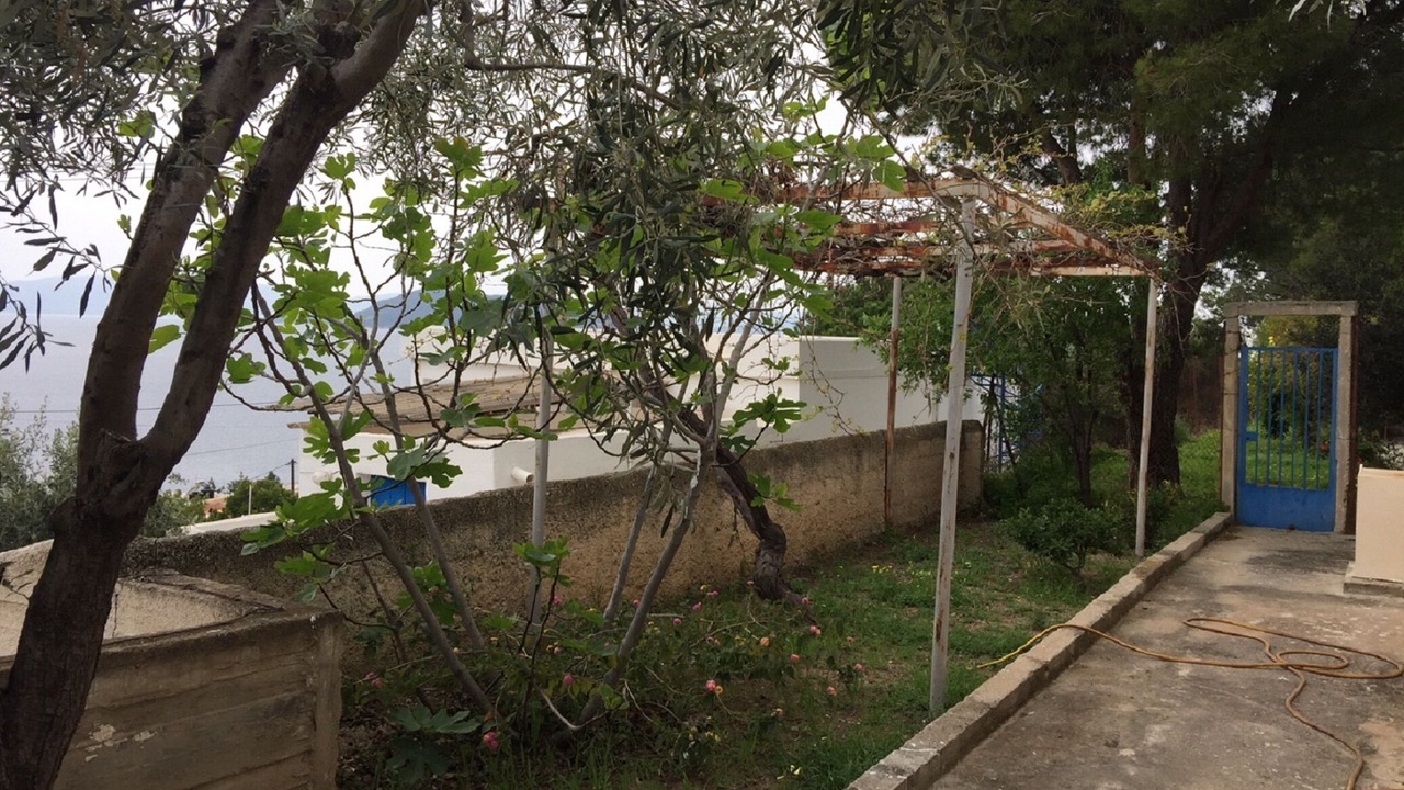 Photo of Outdoor in Aegina