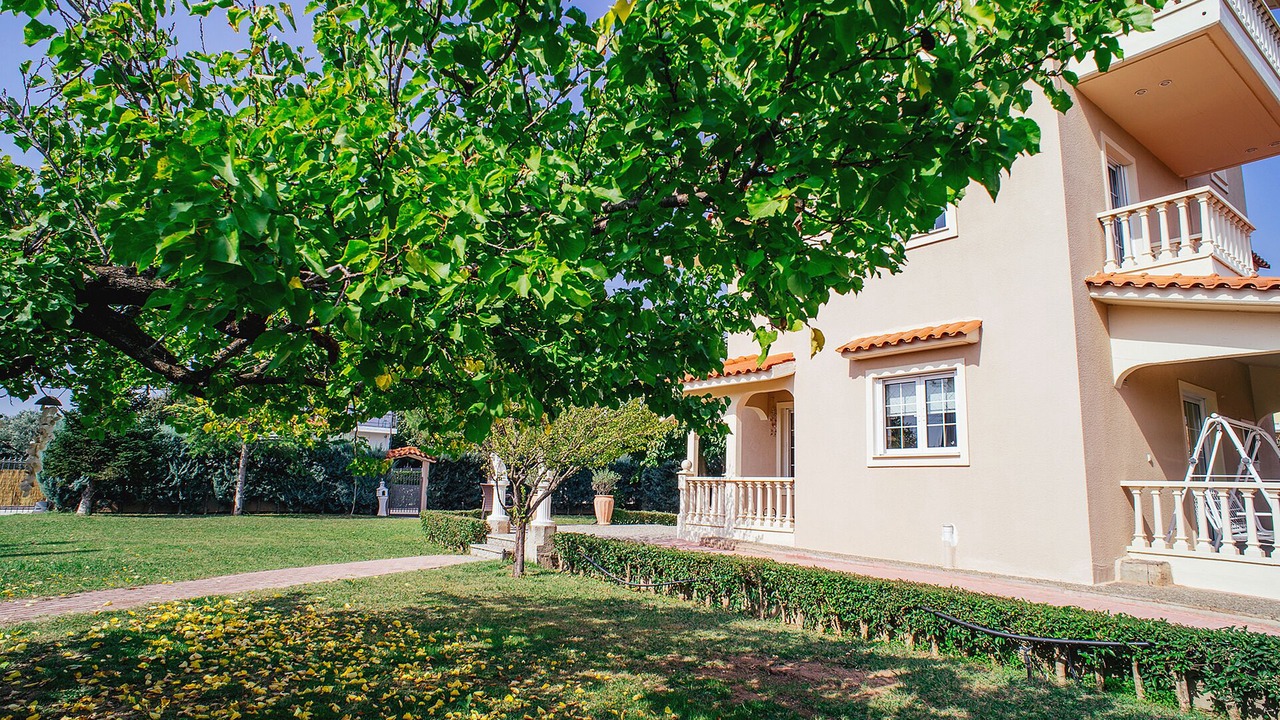 Photo of Outdoor in Stylida