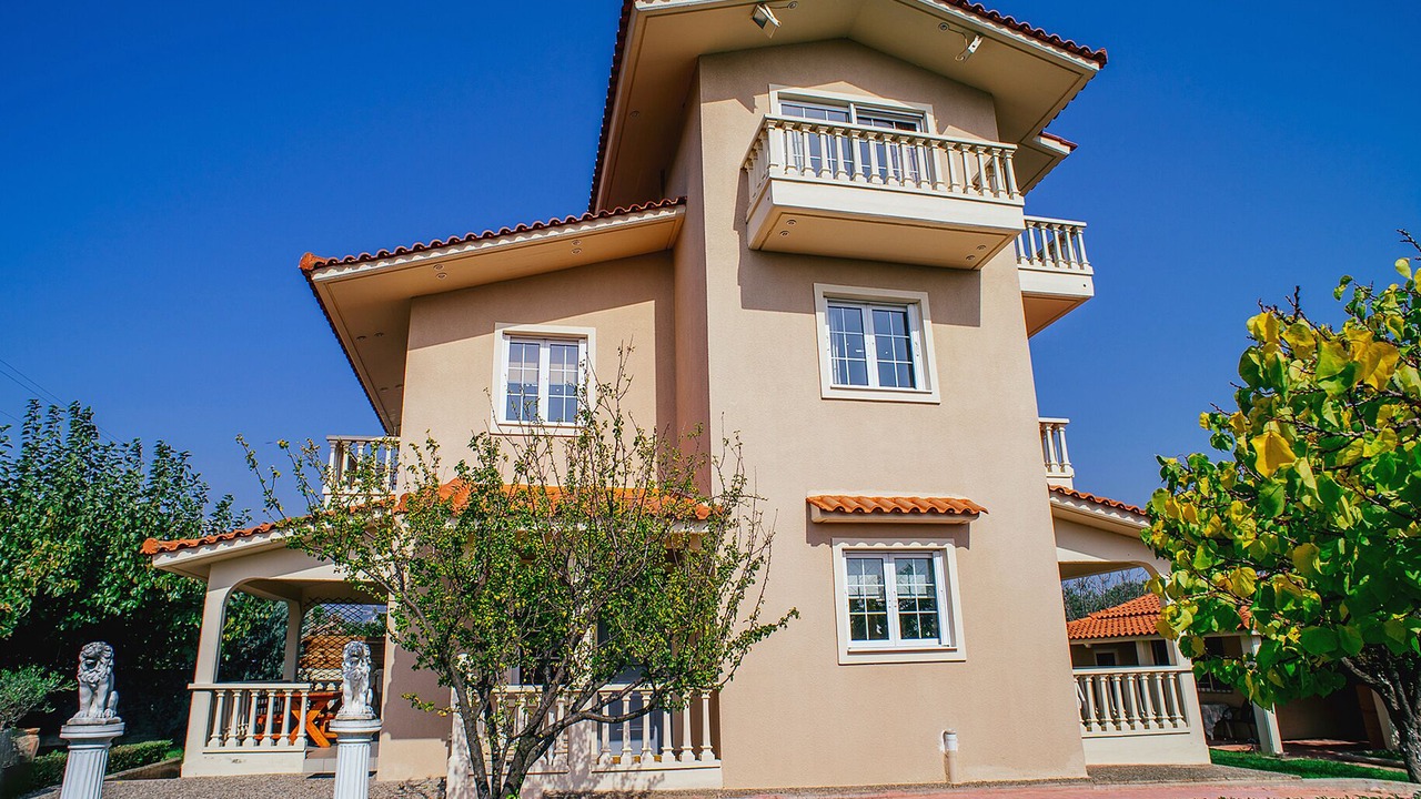 Photo of Outdoor in Stylida