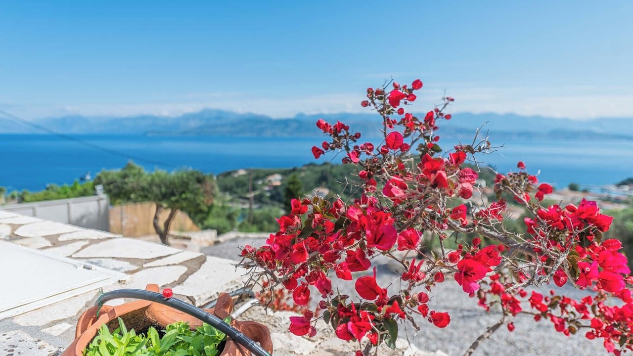 Photo of Others in Kassiopi
