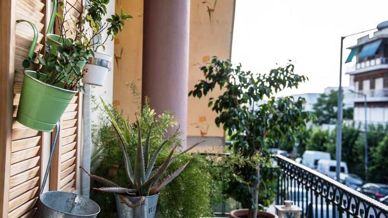 Photo of Outdoor in Petralona