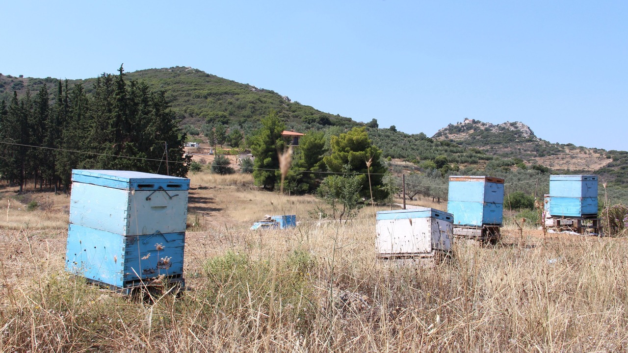 Photo of Outdoor in Agios Adrianos