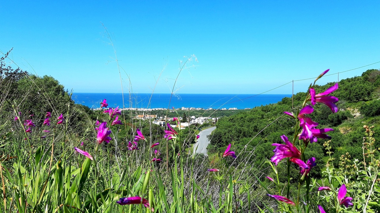 Photo of Outdoor in Milatos Beach