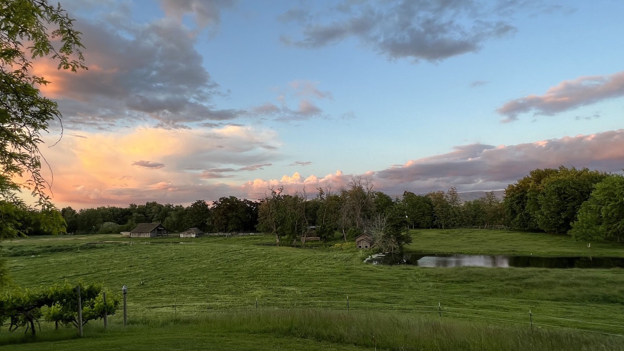 Photo of Outdoor in Milton-Freewater