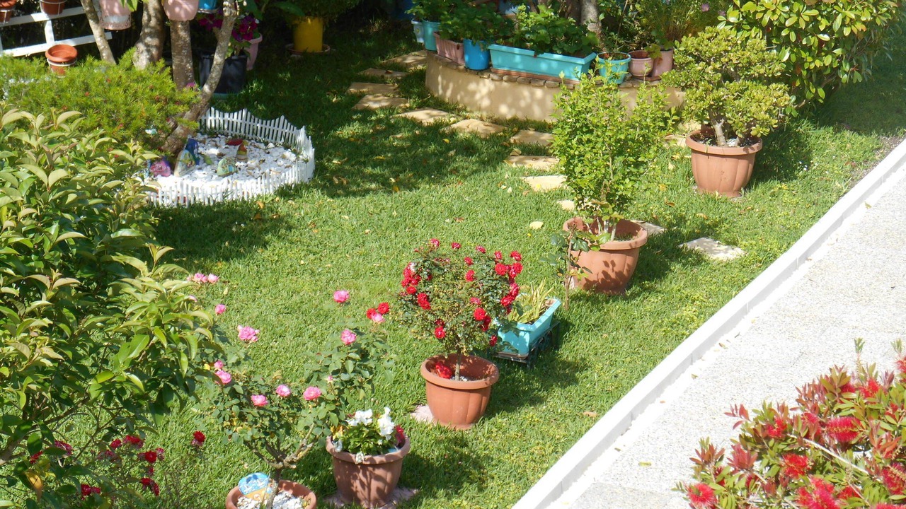 Photo of Outdoor in Melikia