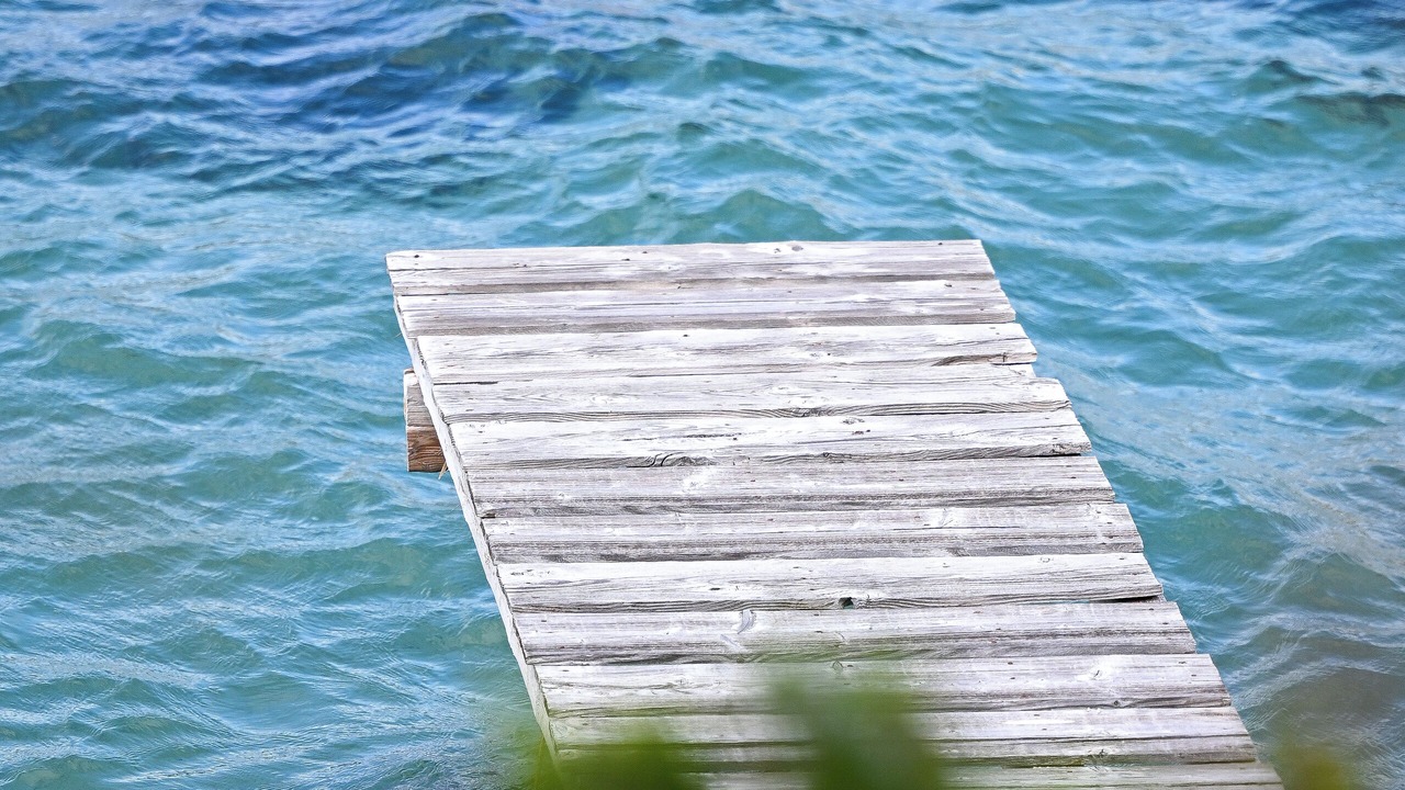 Photo of Others in Punta