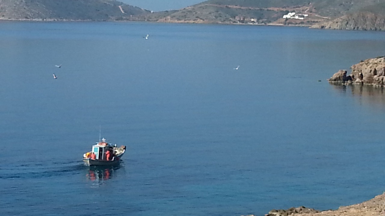 Photo of Others in Kalymnos