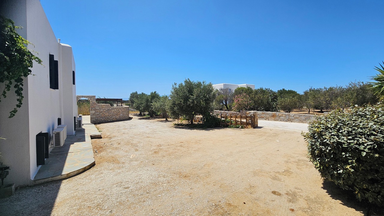 Photo of Others in Naxos