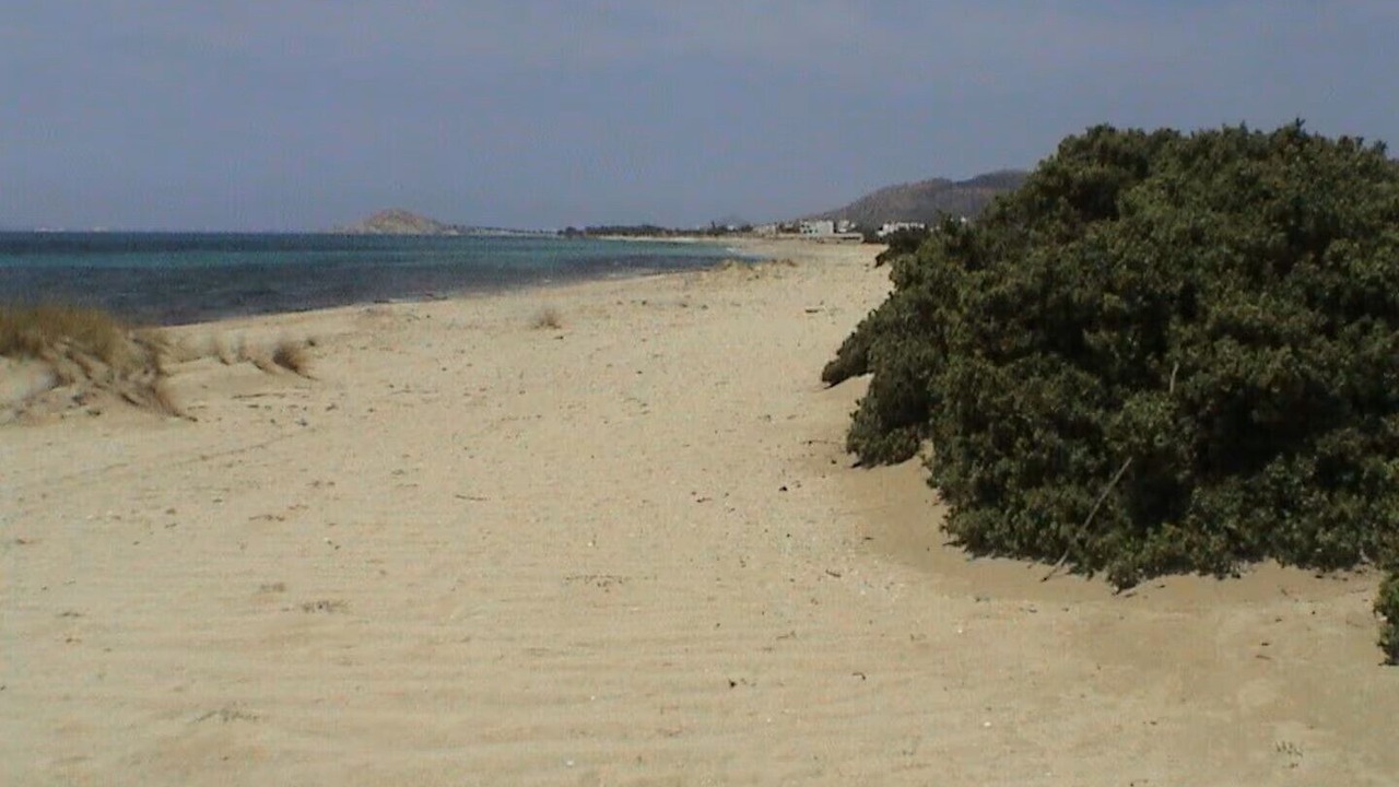 Photo of Others in Naxos