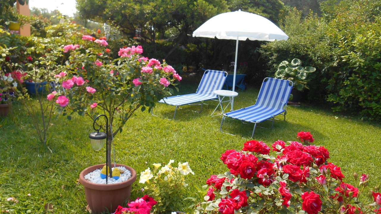 Photo of Outdoor in Melikia