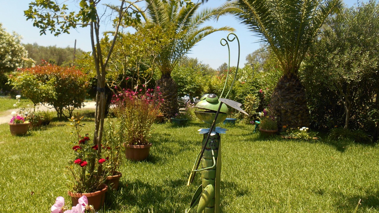 Photo of Outdoor in Melikia
