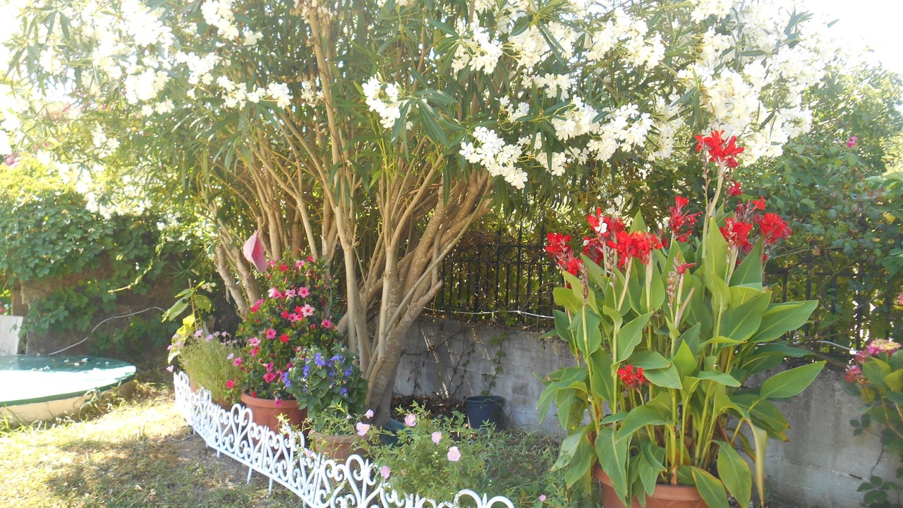 Photo of Outdoor in Melikia