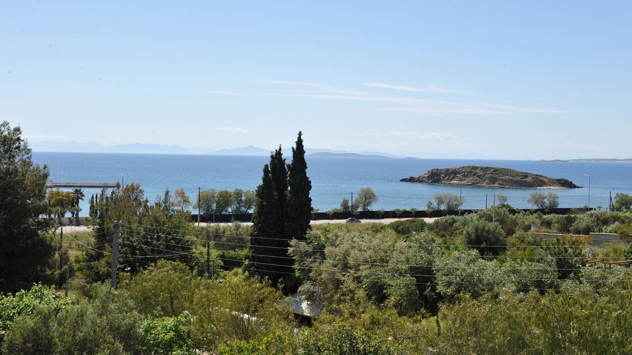 Photo of Others in Lagonissi
