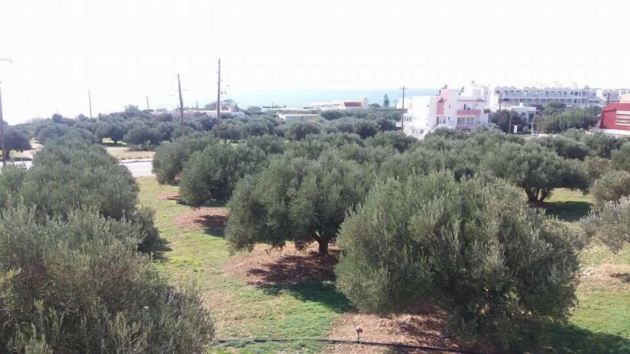 Photo of Outdoor in Koutsounari
