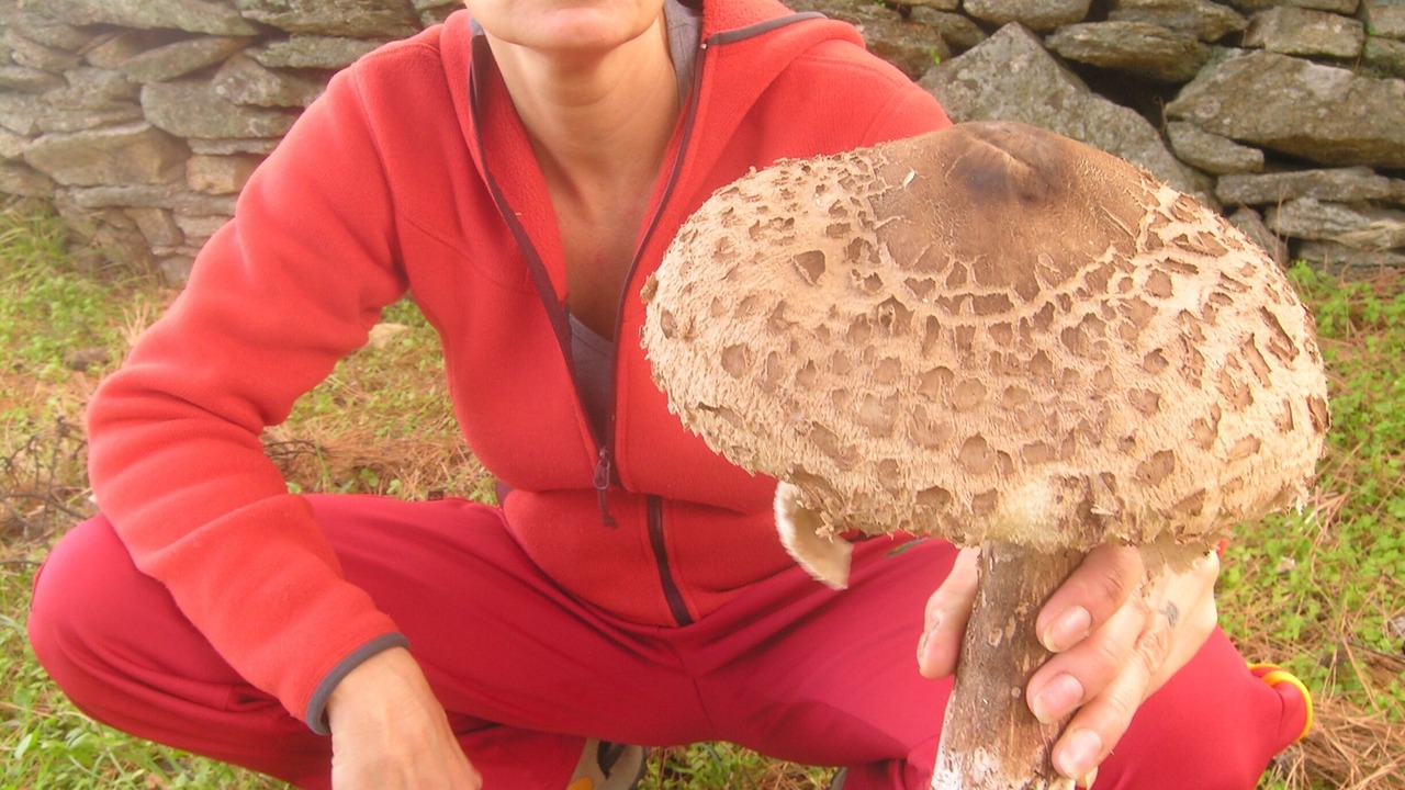 Photo of Outdoor in Armenistis
