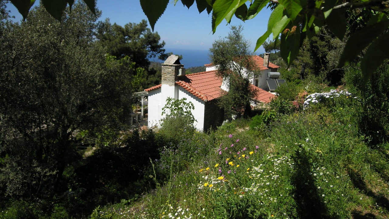 Photo of Outdoor in Armenistis