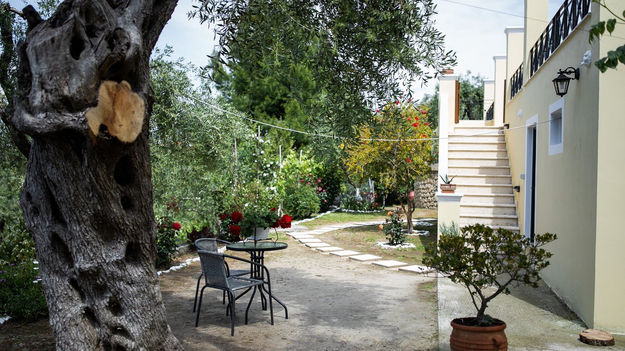Photo of Outdoor in Sfakera