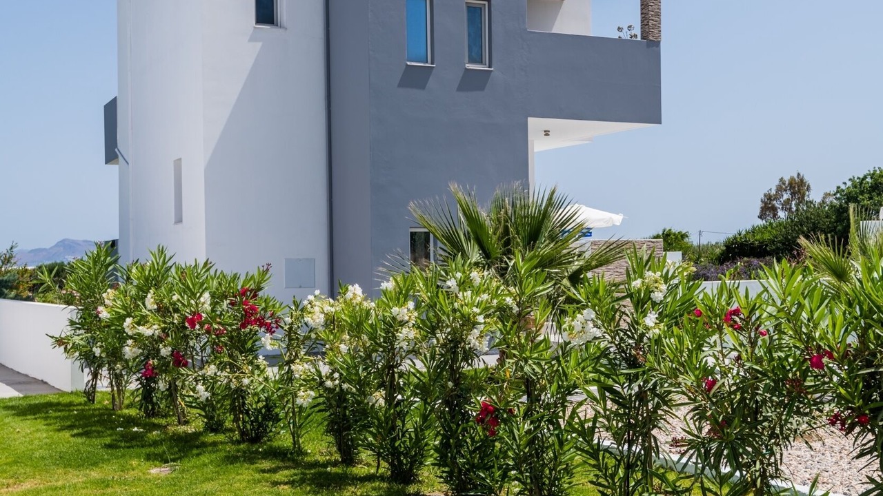 Photo of Outdoor in Zipari