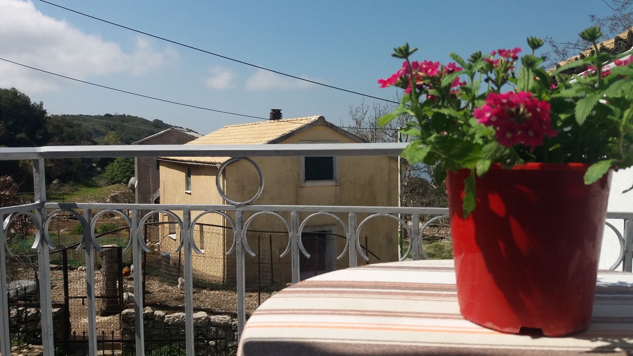 Photo of Outdoor in Petaleia