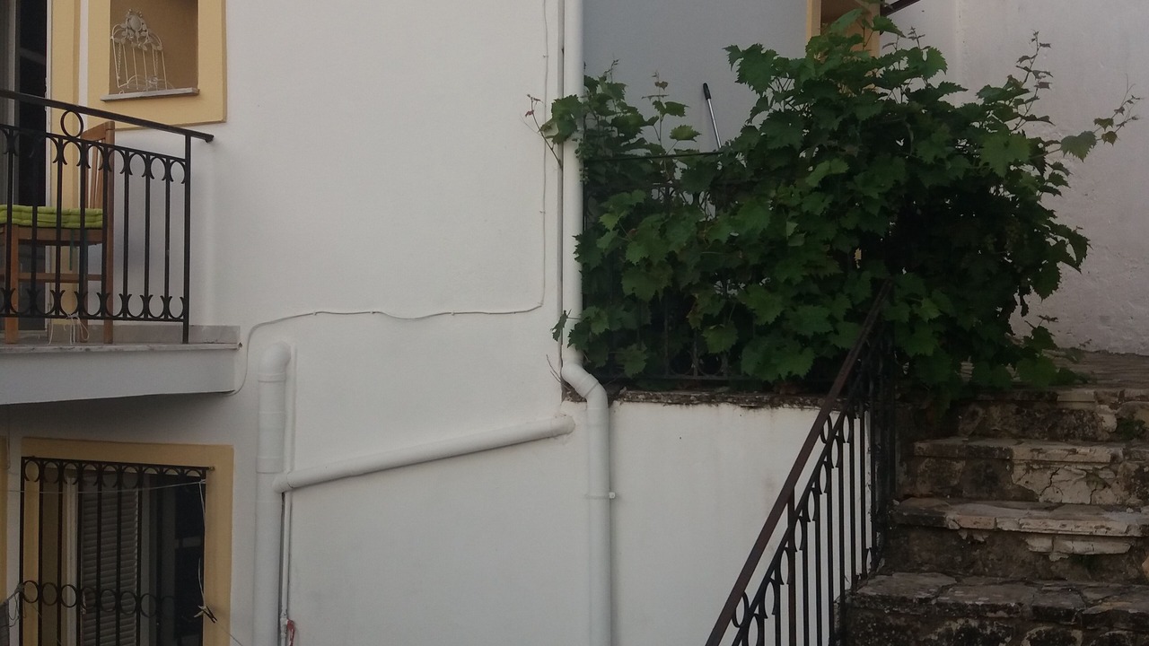 Photo of Outdoor in Petaleia