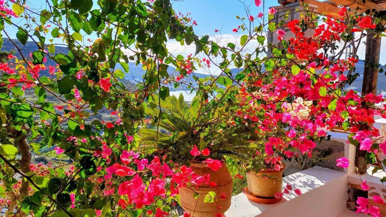 Photo of Outdoor in Skala