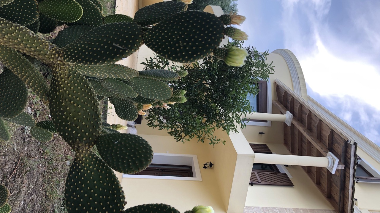 Photo of Outdoor in Liapades