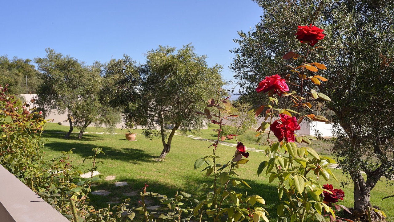 Photo of Outdoor in Kato Stalos