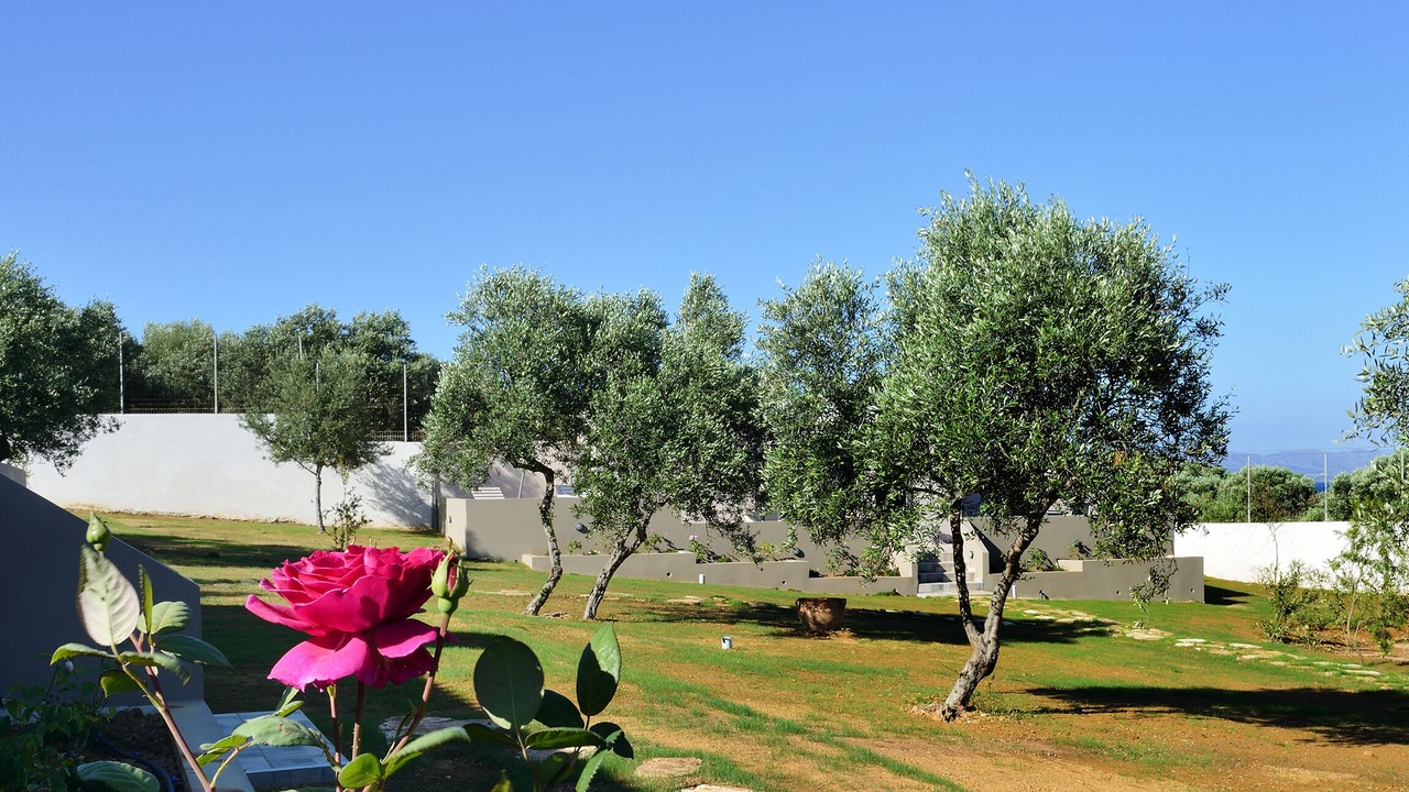 Photo of Outdoor in Kato Stalos