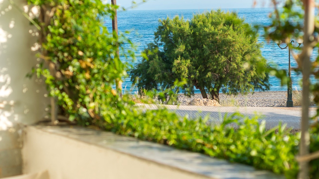 Photo of Others in Makry Gialos