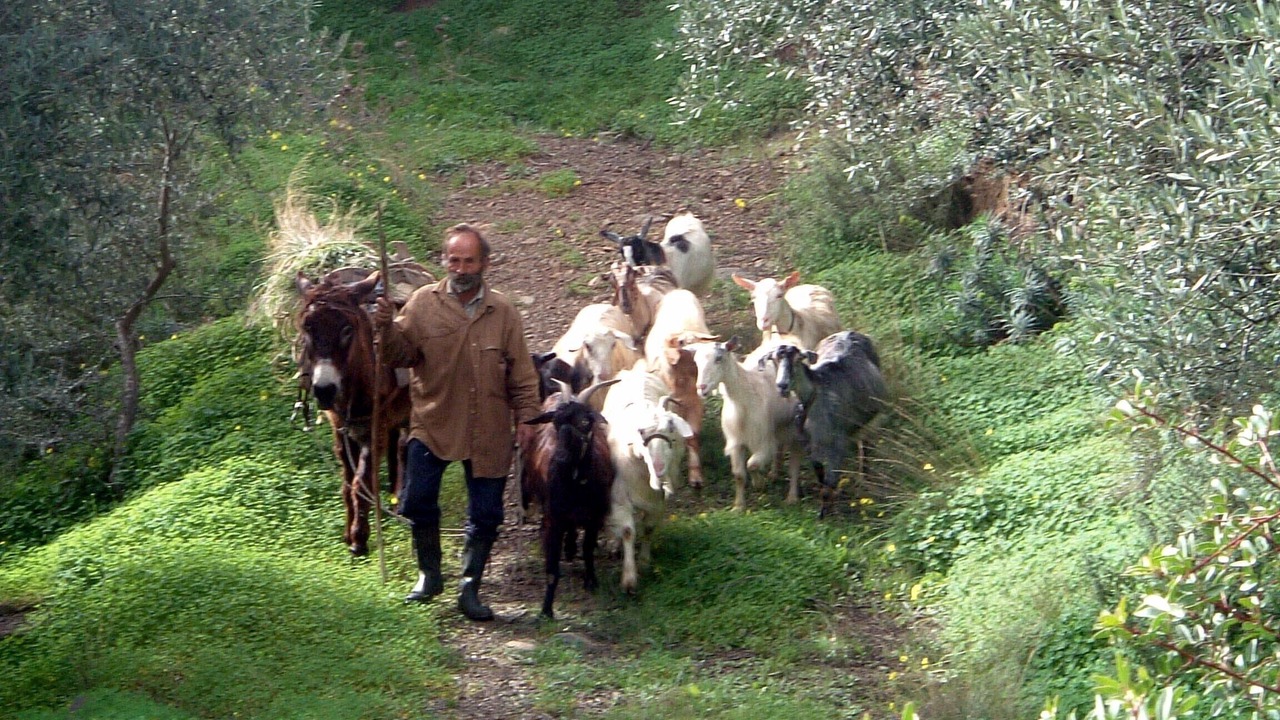 Photo of Outdoor in Agios Nikolaos