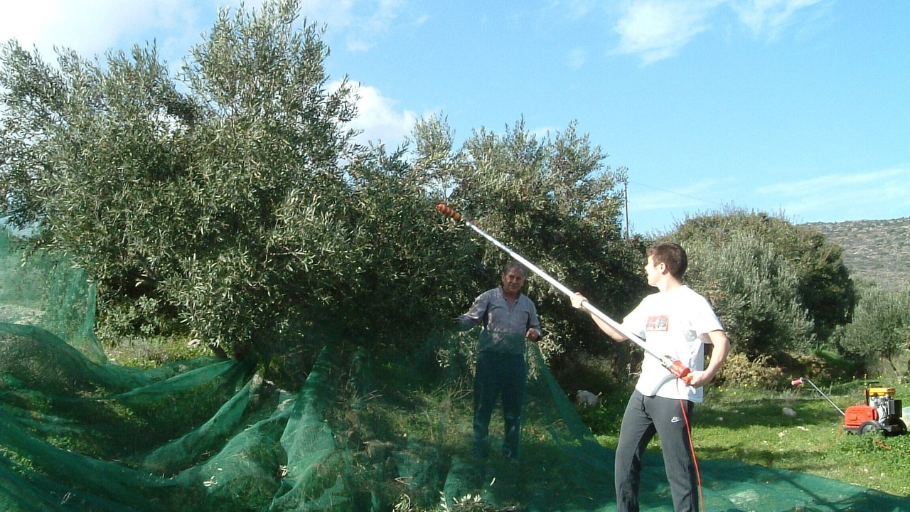 Photo of Others in Agios Nikolaos